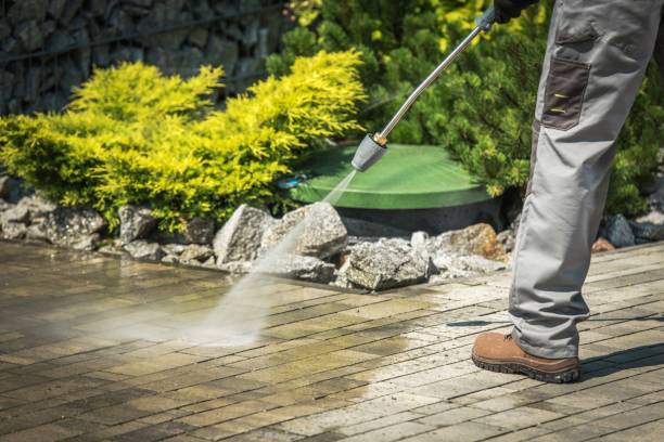 Best Winterizing Services  in Edgewood, TX