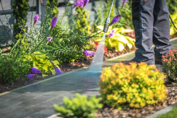 Best Restaurant Pressure Washing  in Edgewood, TX