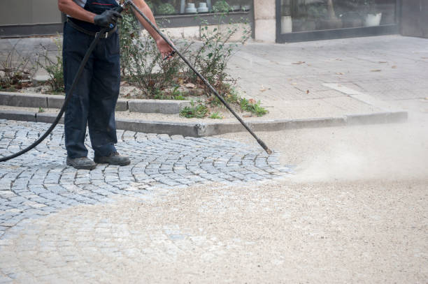 Best Dumpster Area Cleaning  in Edgewood, TX